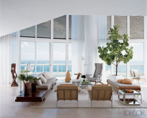 interior-plants